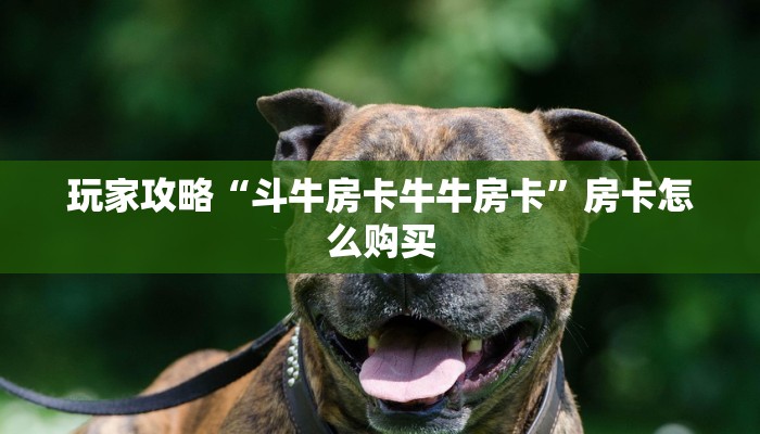 秒懂百科“炸 金花卖房卡代理”获取房卡教程-哔哩哔哩