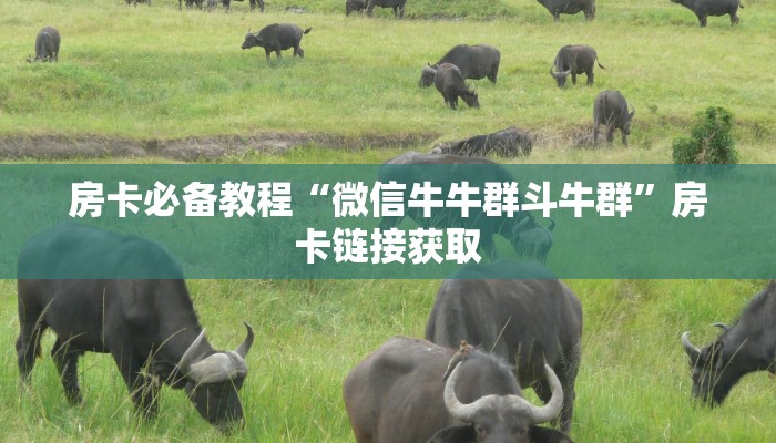 房卡必备教程“微信牛牛群斗牛群”房卡链接获取 房卡必备教程“微信牛牛群斗牛群”房卡链接获取