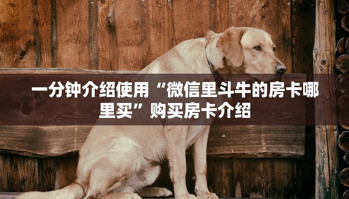秒懂百科“房卡代理的购买方式”详细房卡怎么购买教程 秒懂百科“房卡代理的购买方式”详细房卡怎么购买教程