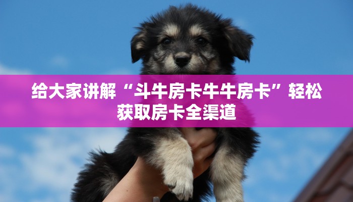 给大家讲解“斗牛房卡牛牛房卡”轻松获取房卡全渠道